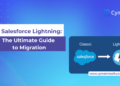 Everything You Need to Know About Salesforce Lightning Consultants ...