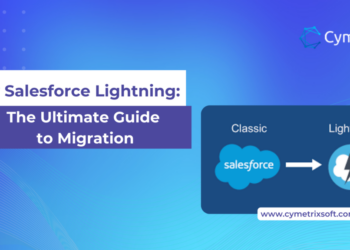 Everything You Need to Know About Salesforce Lightning Consultants ...